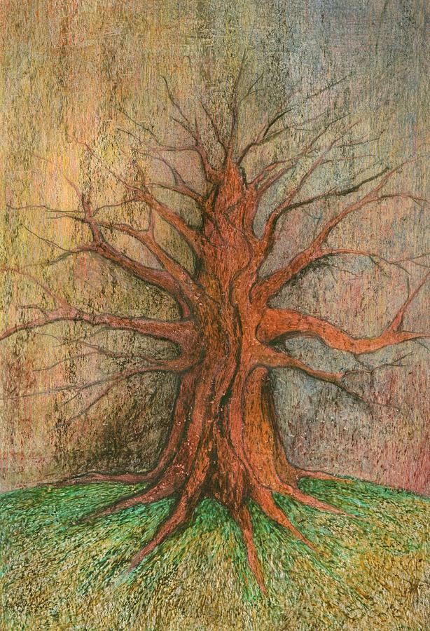 Old Tree Drawing by Wojtek Kowalski Fine Art America