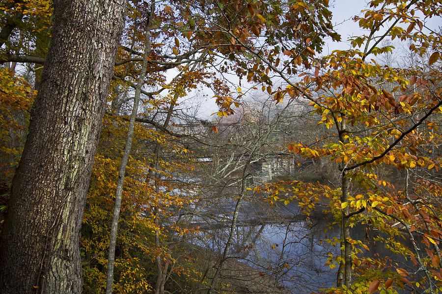 Fall Photograph - Old Trestle Through the Trees by Debra and Dave Vanderlaan