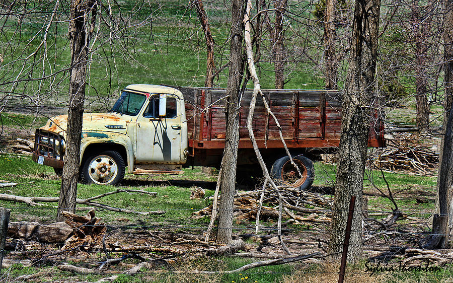 Old Truck at Rest Photograph by Sylvia Thornton