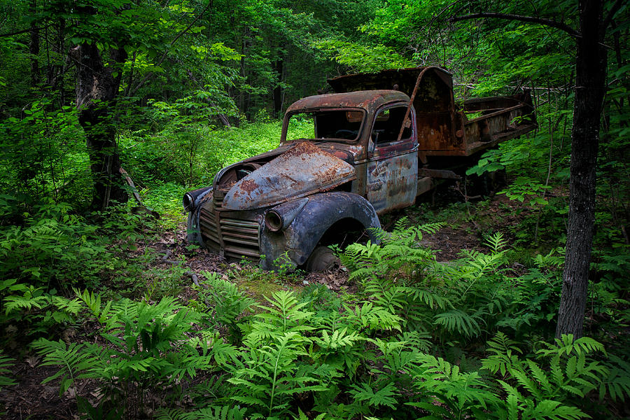 Old Truck Photograph by Darylann Leonard Photography