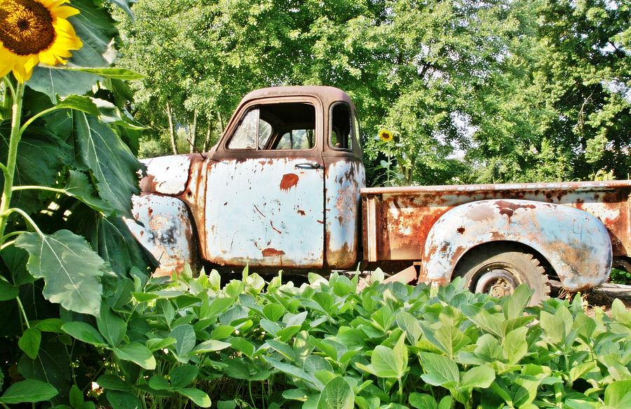 Car Photograph - Old Truck by Sharon Popek
