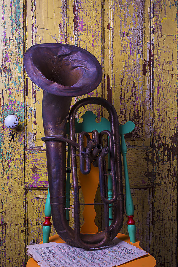 Tuba Photograph - Old Tuba And Yellow Door by Garry Gay