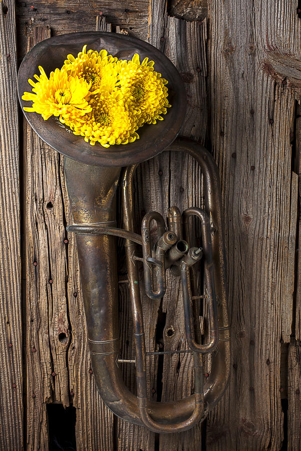 Tuba Photograph - Old tuba and yellow mums by Garry Gay