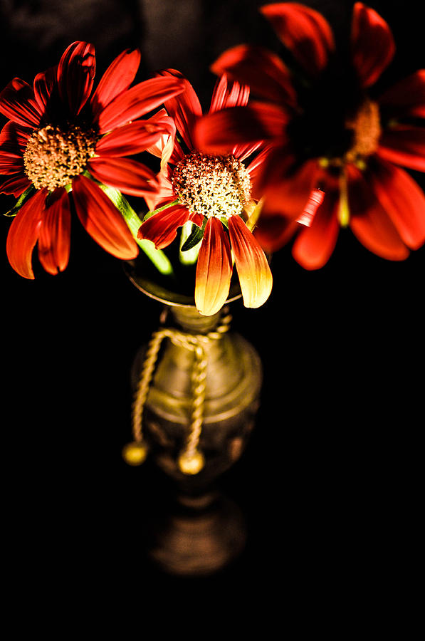 OLD vases with flowers Photograph by Gerald Kloss