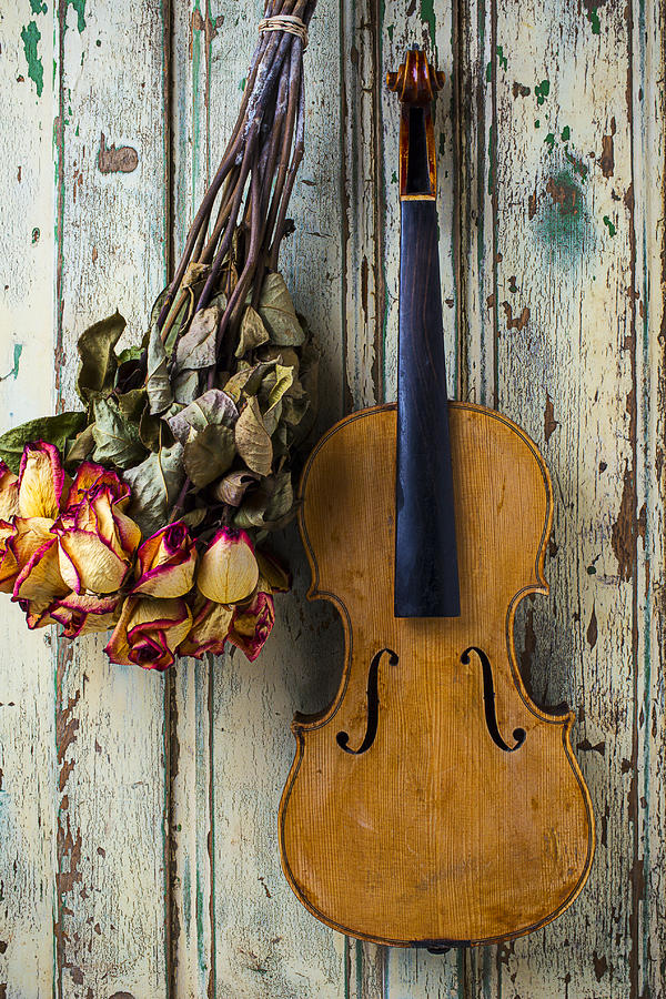 Violin Photograph - Old violin and dried roses by Garry Gay