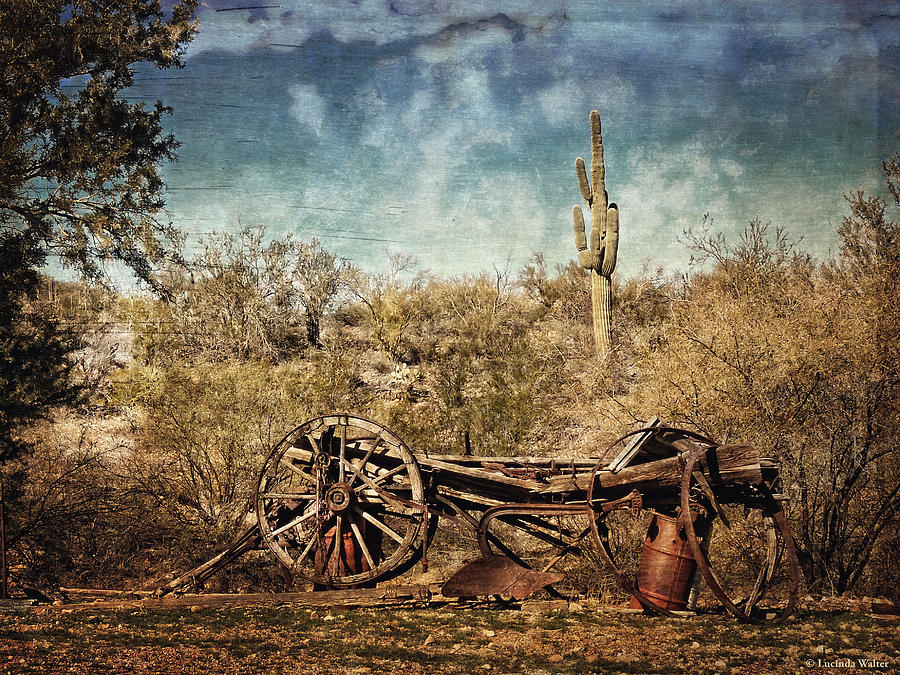 Tucson Photograph - Old Wagon by Lucinda Walter