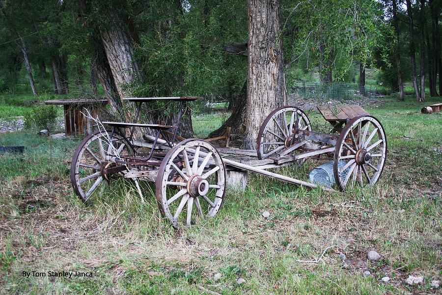 Old Wagon Near Cimeron Colorado Photograph by Tom Janca
