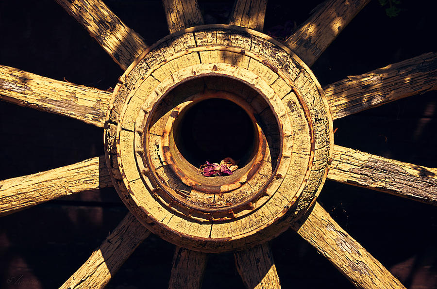 Old Wagon Wheel  Photograph by Maria Angelica Maira