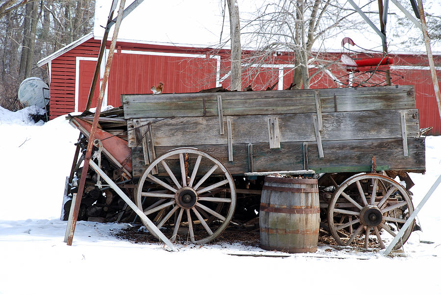 Old Wagon With A Passenger Photograph by Janice Adomeit