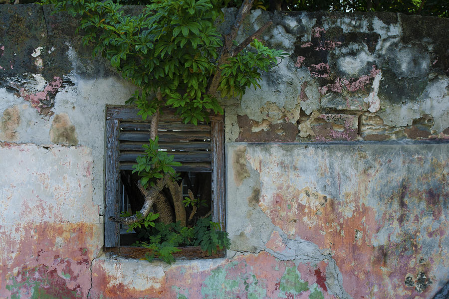 Old Wall Nassau Bahamas IMG 6914 Photograph by Greg Kluempers