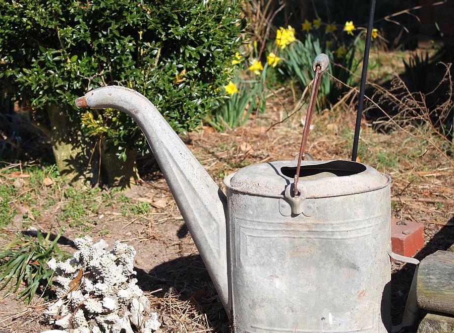 Old Watering Can Photograph by Carolyn Ricks