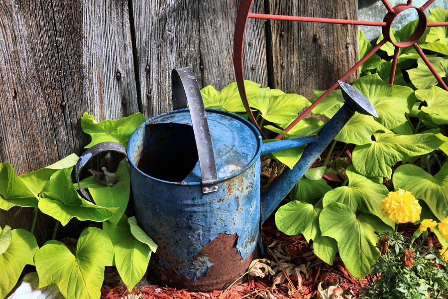 Old Watering Can Photograph by Michael Lopes - Fine Art America