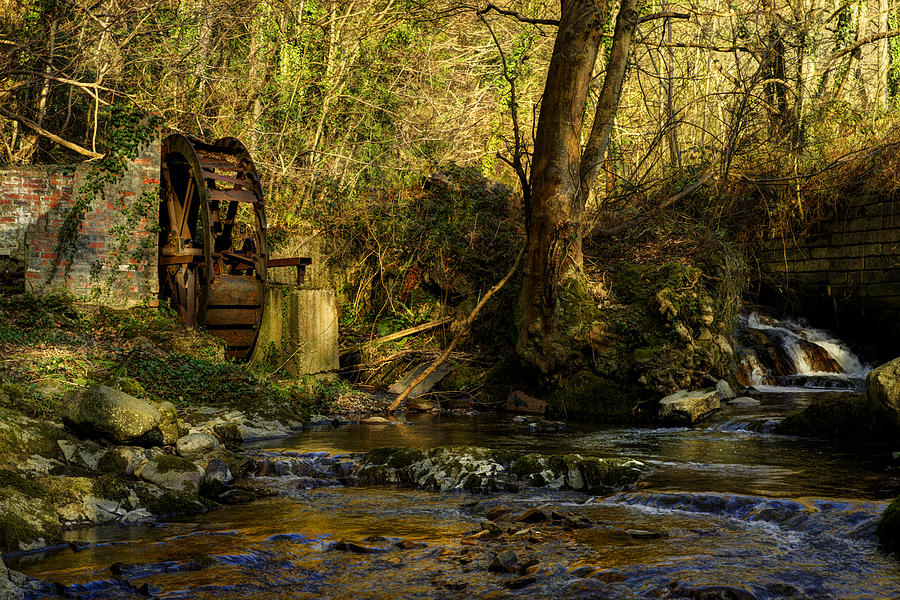 Old Watermill Photograph by Mal Bray