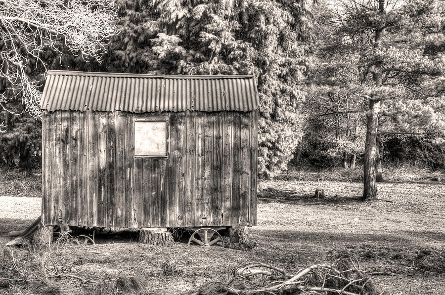 Old Weather Wooden Wagon In A Forest Scene Photograph by Fizzy Image