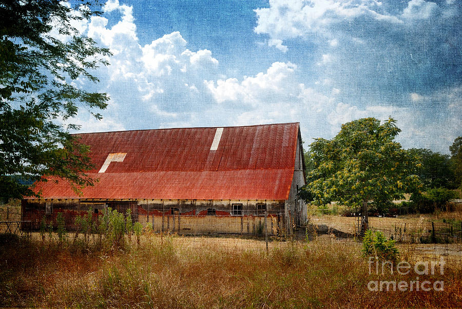 Old Weathered Barn Indiana Photograph by Amy Cicconi