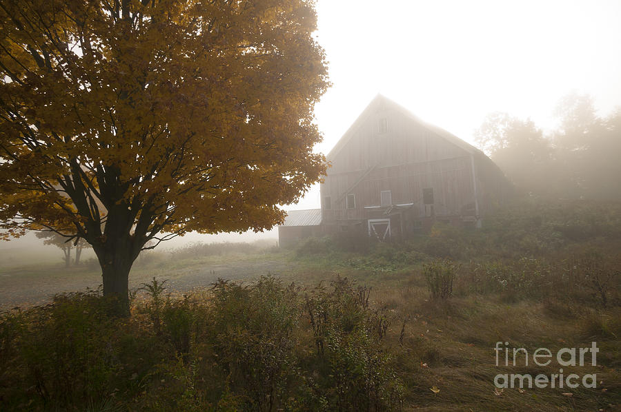 Old weathered barn on a foggy autumn morning Photograph by Don Landwehrle