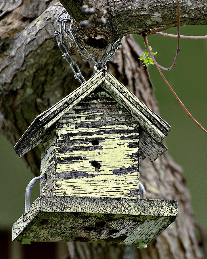 Old Weathered  Bird House Photograph by Linda Phelps