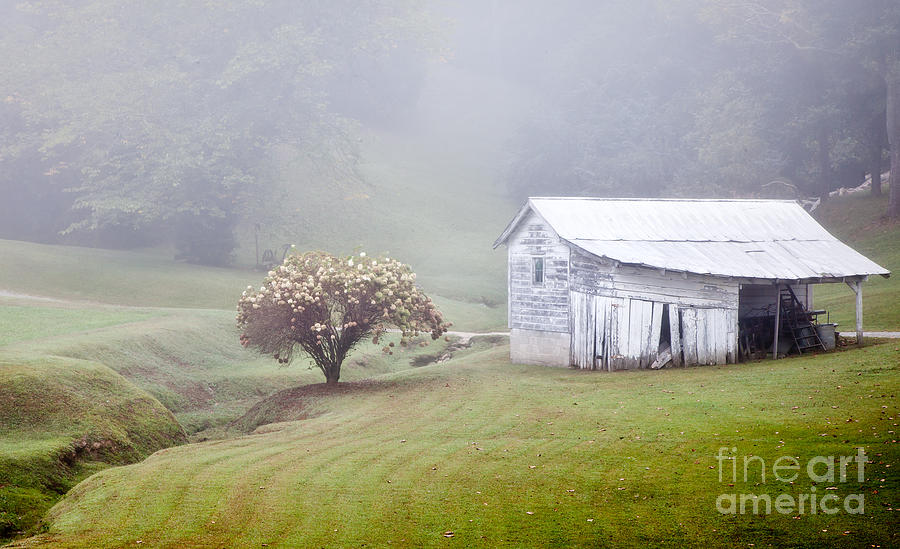 Old Weathered Wooden Barn in Morning Mist Photograph by Jo Ann Tomaselli