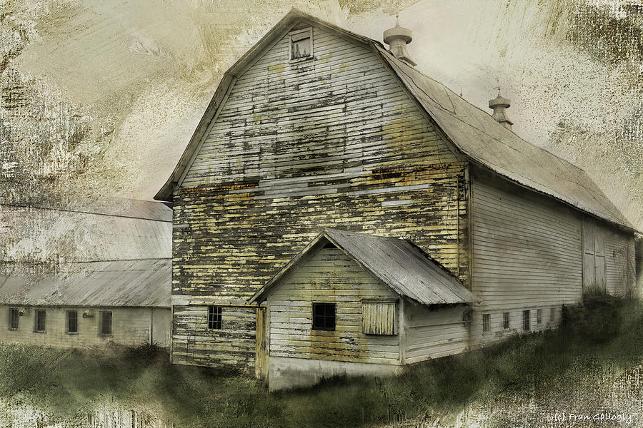 Old White Barn Photograph by Fran Gallogly