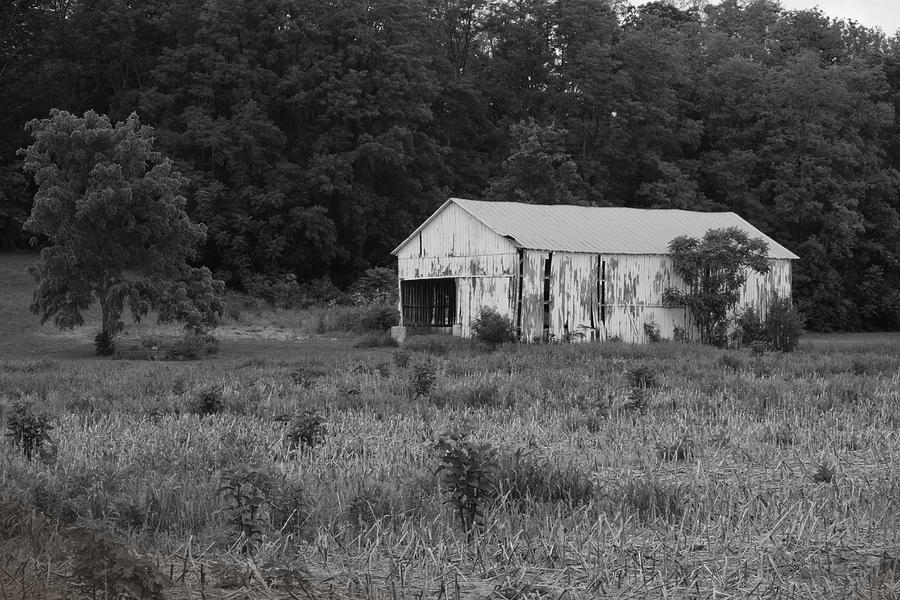 Old White Barn Photograph by William Crenshaw - Fine Art America