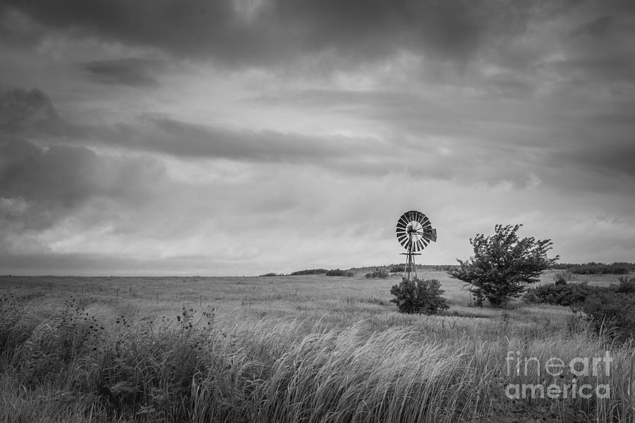 Old Windmill BW Photograph by Michael Ver Sprill