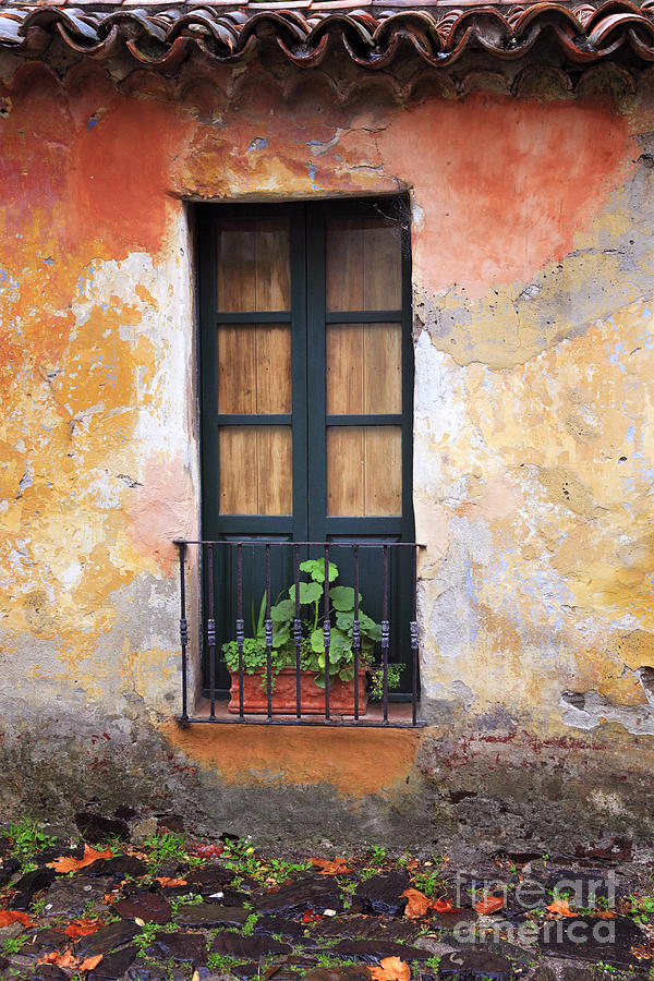 Old window Photograph by Bernardo Galmarini