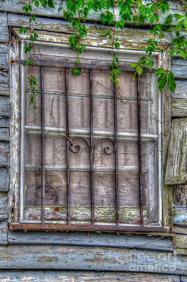 Old WIndow Photograph by Dale Powell