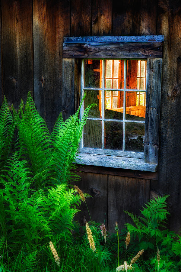 Old Window Photograph by Darylann Leonard Photography