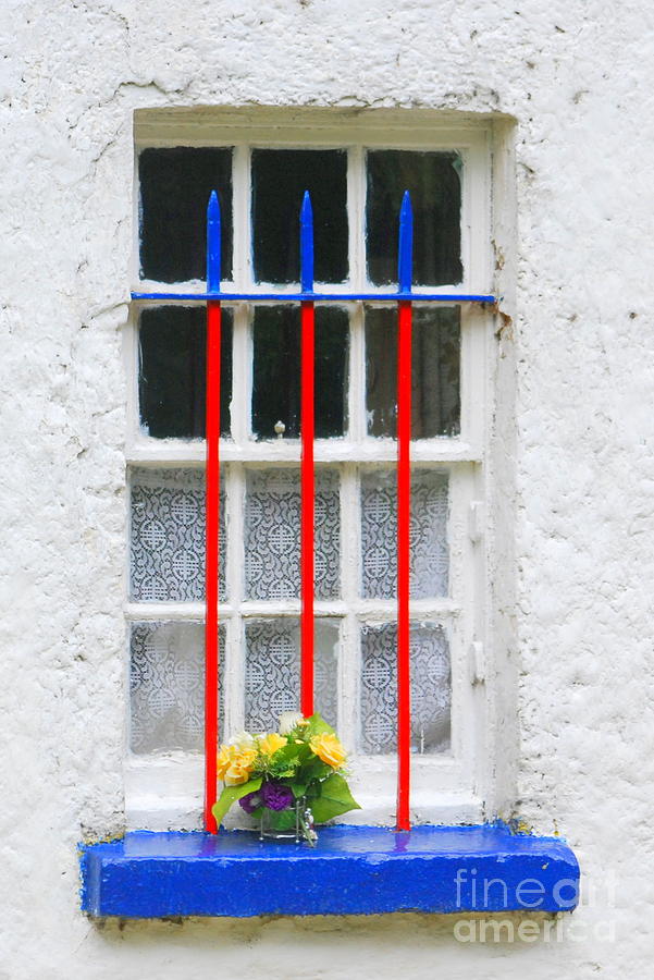 Flowers Still Life Photograph - Old Window by Joe Cashin