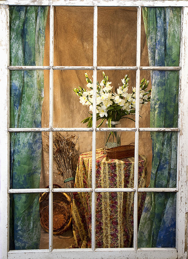 Old Window Pane View Inside Photograph by Trudy Wilkerson