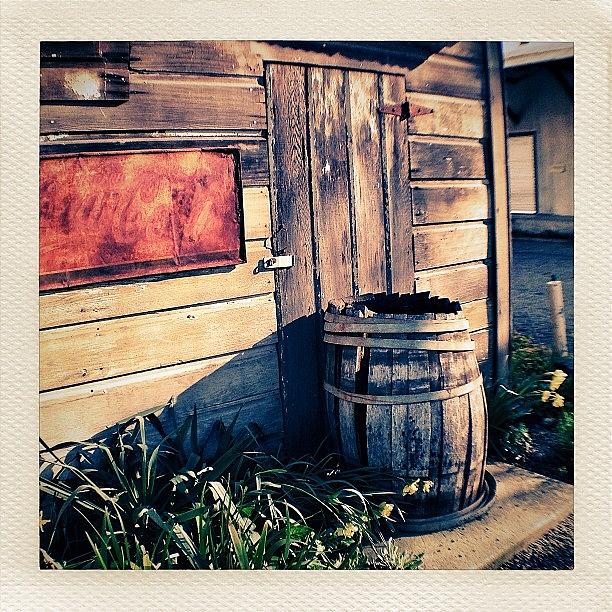 Old Wine Barrel Photograph by Kent Griswold