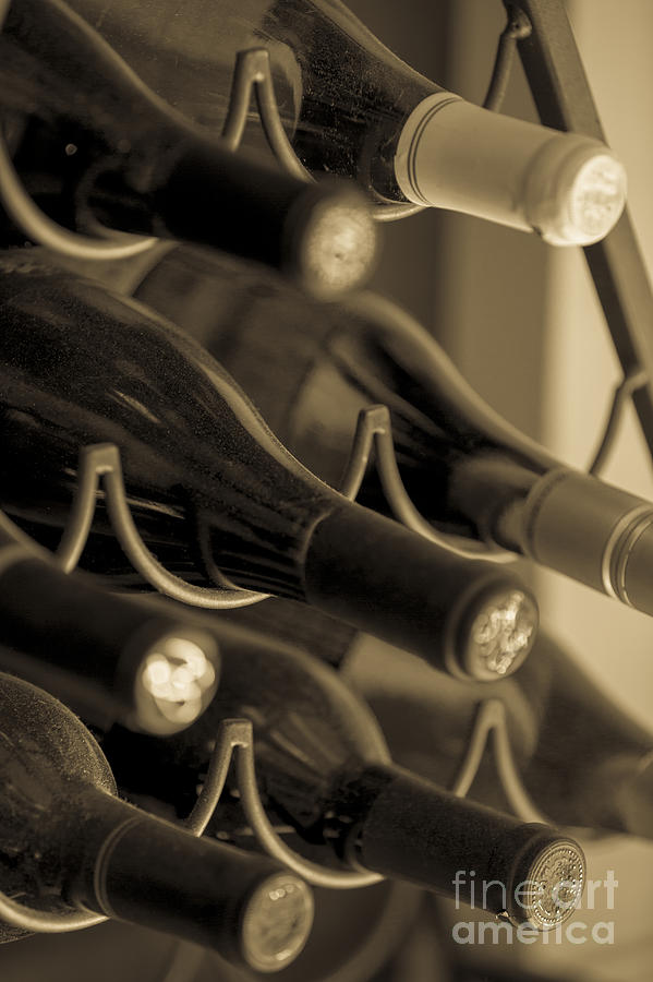 Old Wine Bottles Photograph