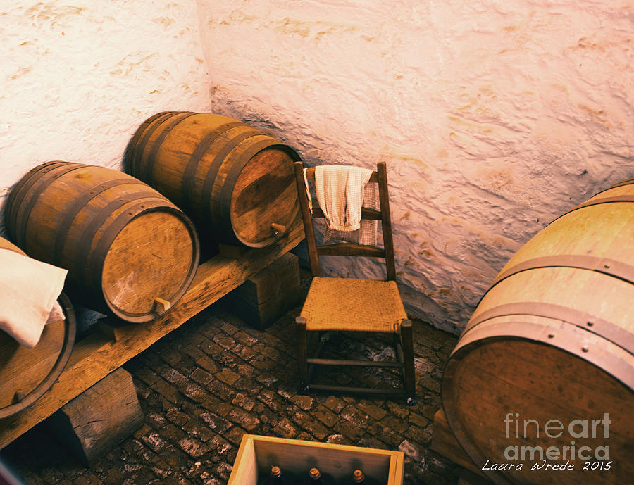 Old Wine Cellar and Kegs Monticello Virginia Photograph by Artist and Photographer Laura Wrede