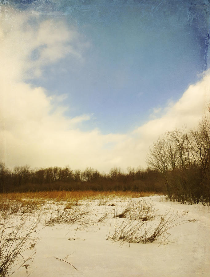 Old Woman Creek - Snowy Meadow Photograph by Shawna Rowe