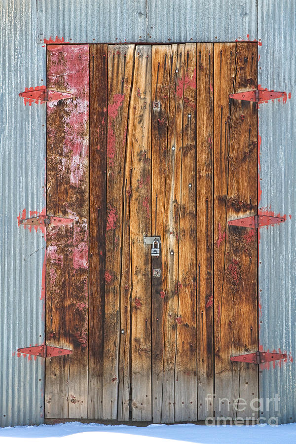 Old Wood Door With Six Red Hinges Photograph by James BO Insogna