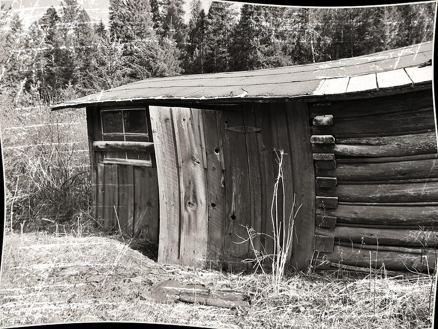 Old Wood Shed Out Back Photograph by Susan Kinney