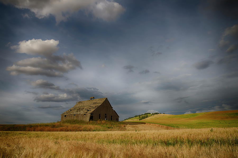 Old Wooden Barn In A Wheat Field Photograph by Marg Wood
