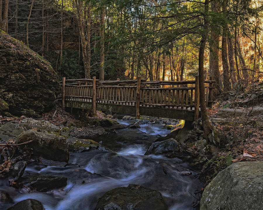 Old wooden bridge over Pond Run Creek. Photograph by Dave Sandt