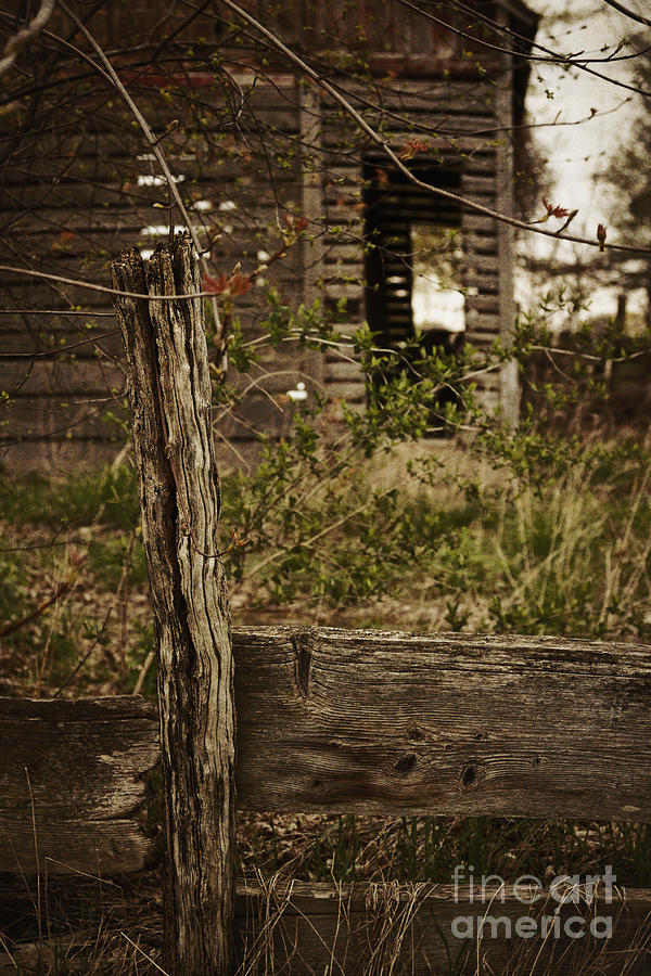 Old Wooden Fence Photograph by Margie Hurwich