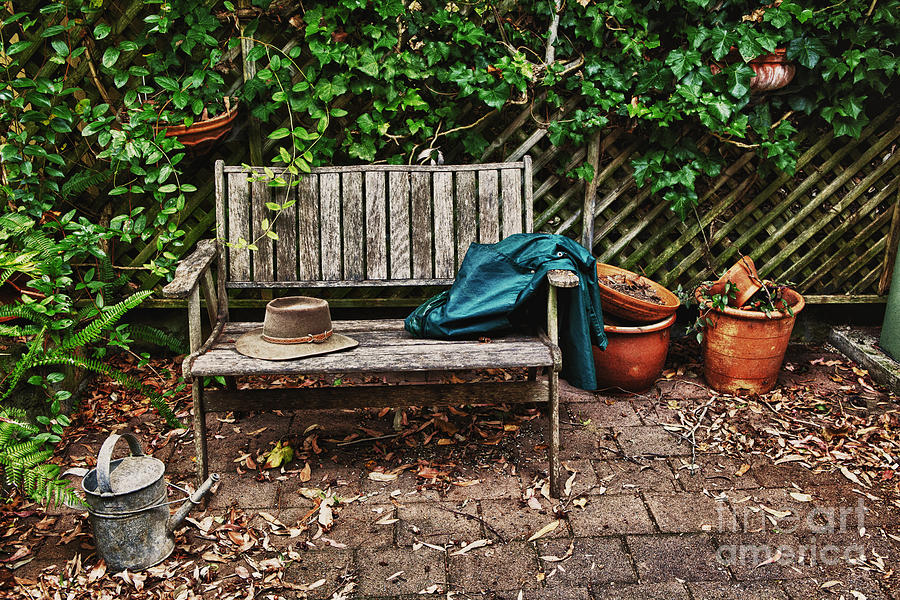 Old wooden garden bench  Photograph by Sheila Smart Fine Art Photography