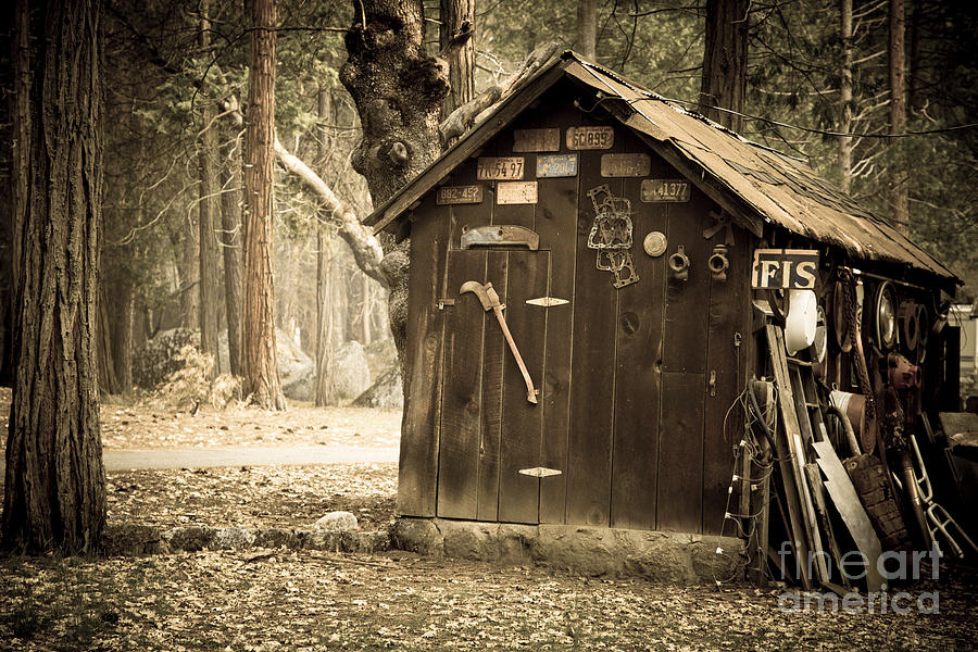 Old wooden shed Yosemite Photograph by Jane Rix