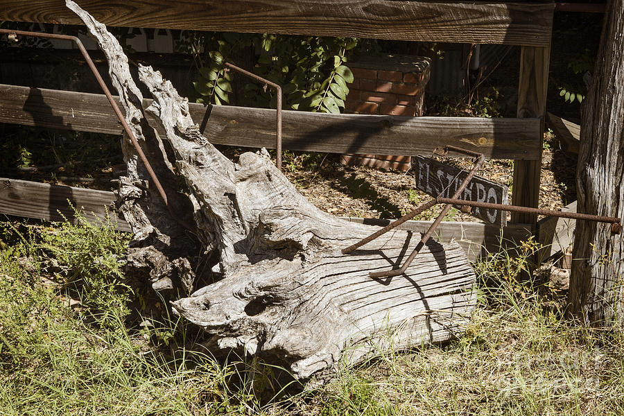 Old Wooden Stump wit Iron in Antique Color 3010.02 Photograph by M K Miller