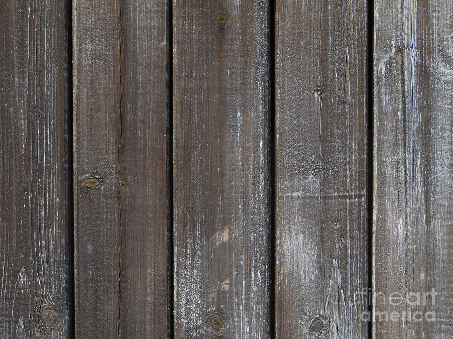 Vintage Photograph - Old Wooden Wall Background by Kiril Stanchev
