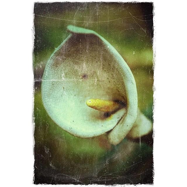 Old World Beauty.
handmade Ceramic Photograph by Julie Hollow