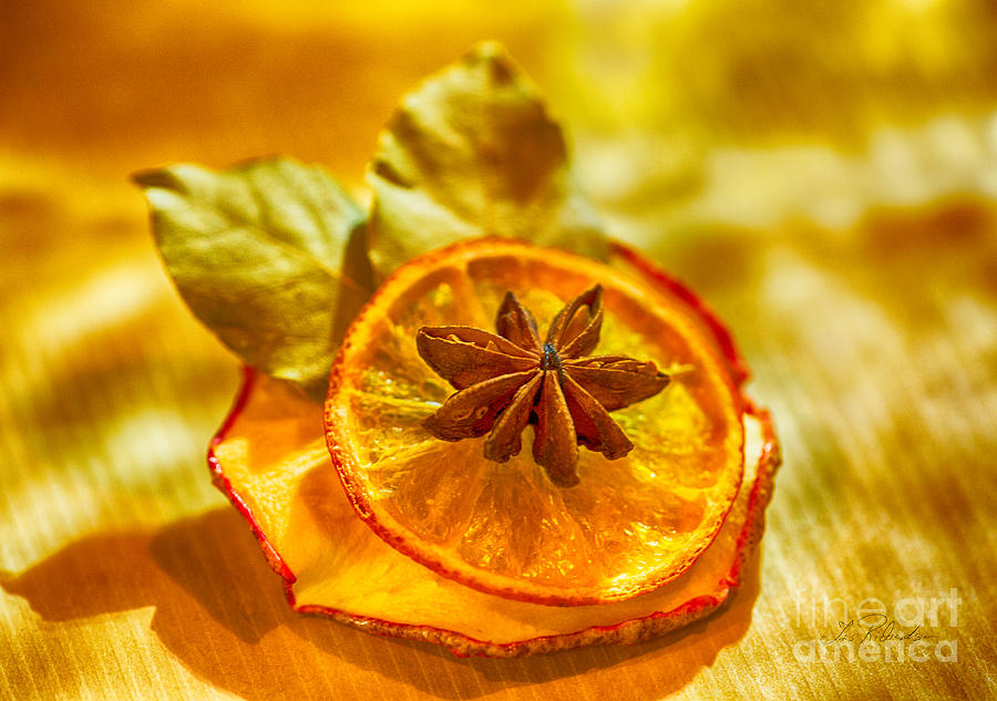 Holiday Photograph - Natural Dried Fruit Ornaments by Iris Richardson