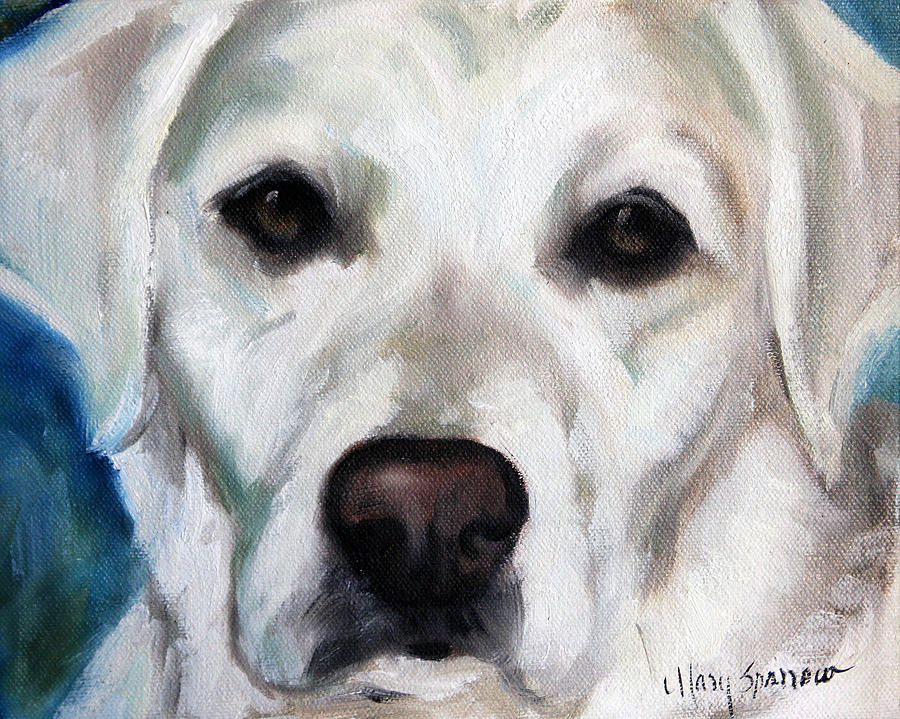 Labrador Retriever Painting - Old Yella by Mary Sparrow