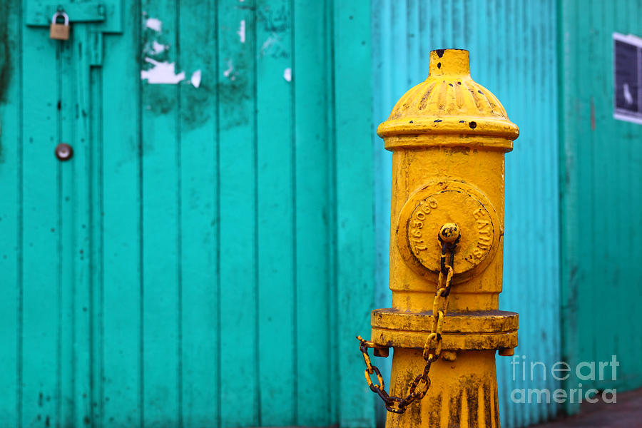 Old Yellow Fire Hydrant Photograph by James Brunker
