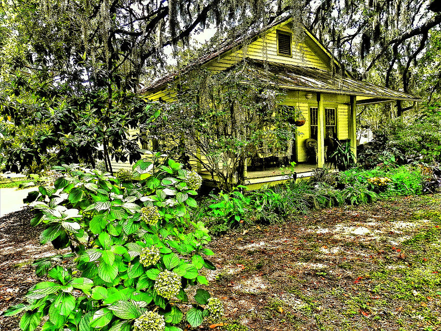 Old Yellow House Photograph by Patricia Greer