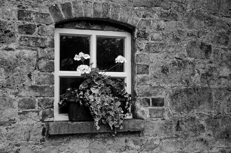 Oldbridge Window Photograph by Martina Fagan