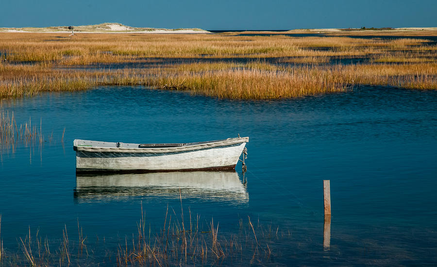 Olde Cape Cod Photograph by Fred LeBlanc